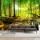 3D Efekt Doğal Ormanlık Alan Temalı Duvar Kağıdı